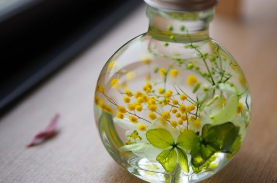 人気のハ―バリウム