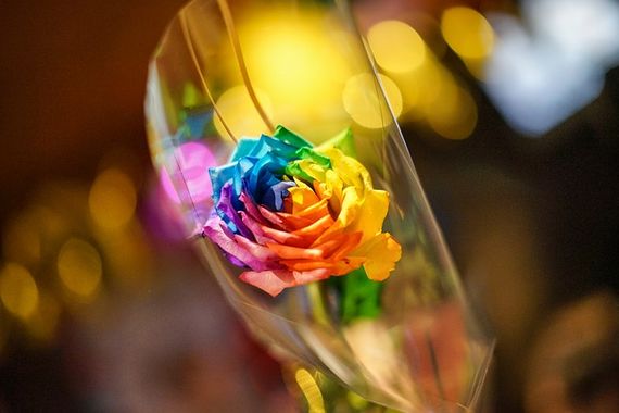 綺麗なレインボーローズ